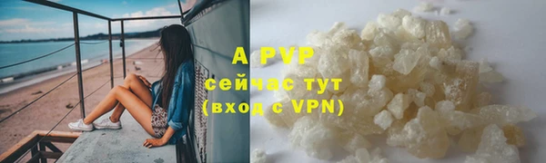 стаф Елизово