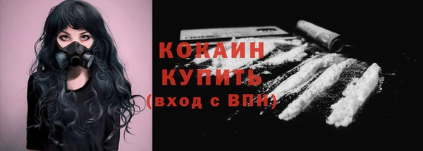 прущие грибы Гусь-Хрустальный
