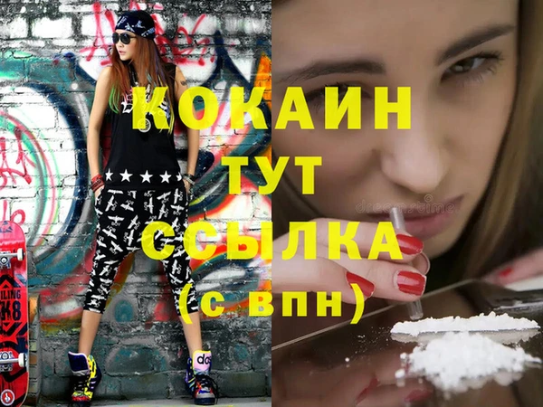 стафф Ельня
