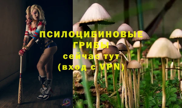 стафф Ельня