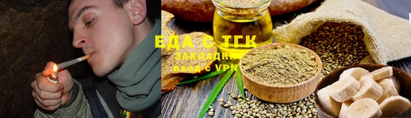 стафф Ельня