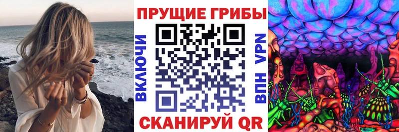 купить  цена  Лянтор  Галлюциногенные грибы мицелий 